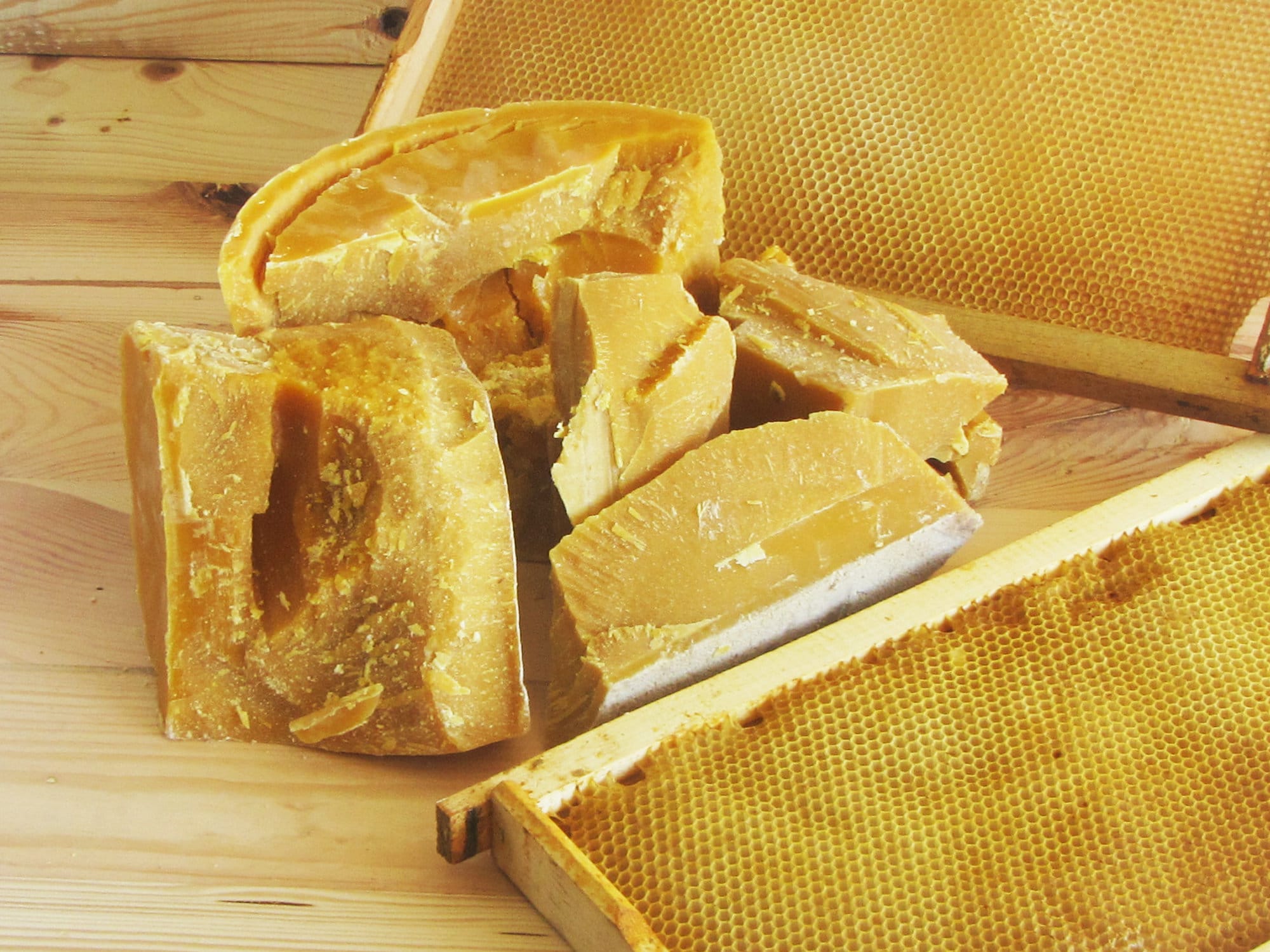 Natural Beeswax Purified in Water WHOLESALE. for Candle Etsy