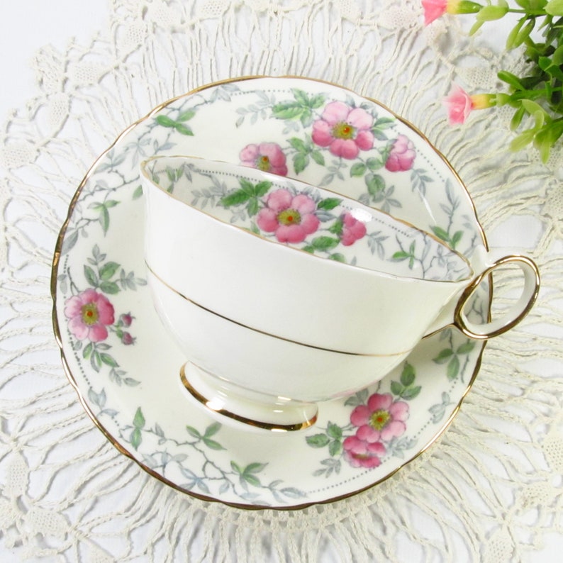 Vintage Pink Wild Roses Tea Cup and Saucer, Delphine Bone China, 5052 Made in England image 3