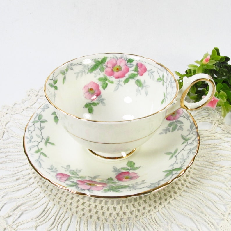 Vintage Pink Wild Roses Tea Cup and Saucer, Delphine Bone China, 5052 Made in England image 1