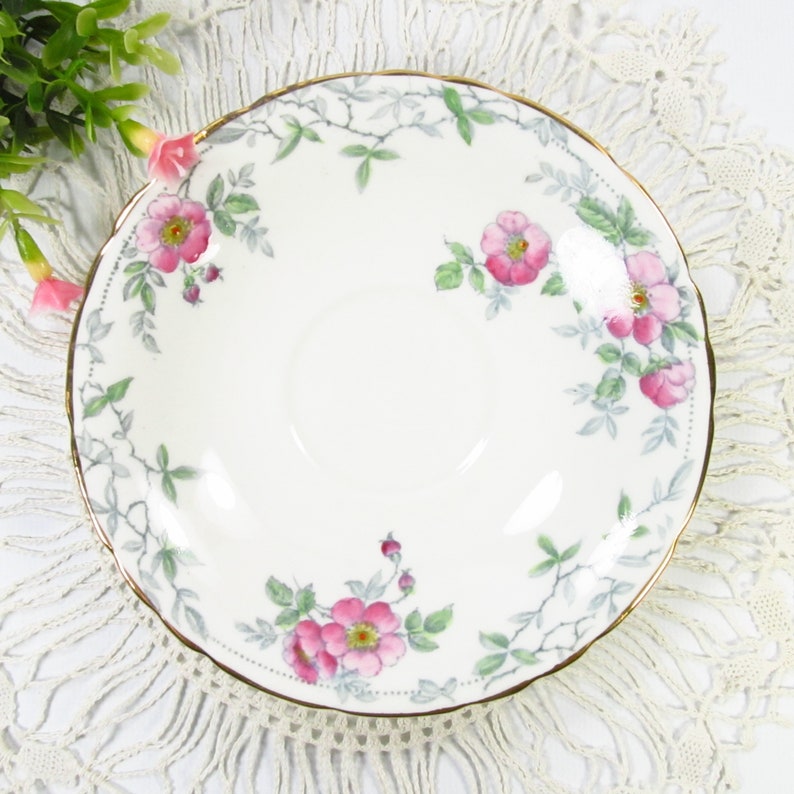 Vintage Pink Wild Roses Tea Cup and Saucer, Delphine Bone China, 5052 Made in England image 6