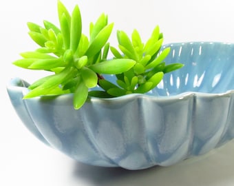 Royal Haeger Blue Console Bowl, MCM Pottery Centerpiece, Succulent Cactus Dish