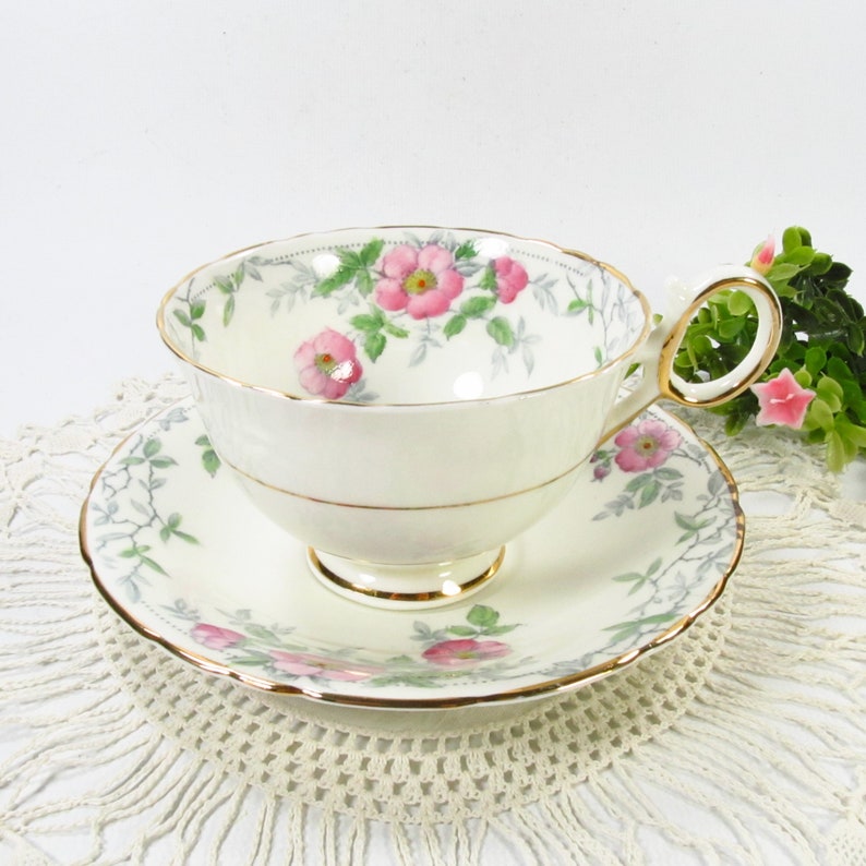 Vintage Pink Wild Roses Tea Cup and Saucer, Delphine Bone China, 5052 Made in England image 4