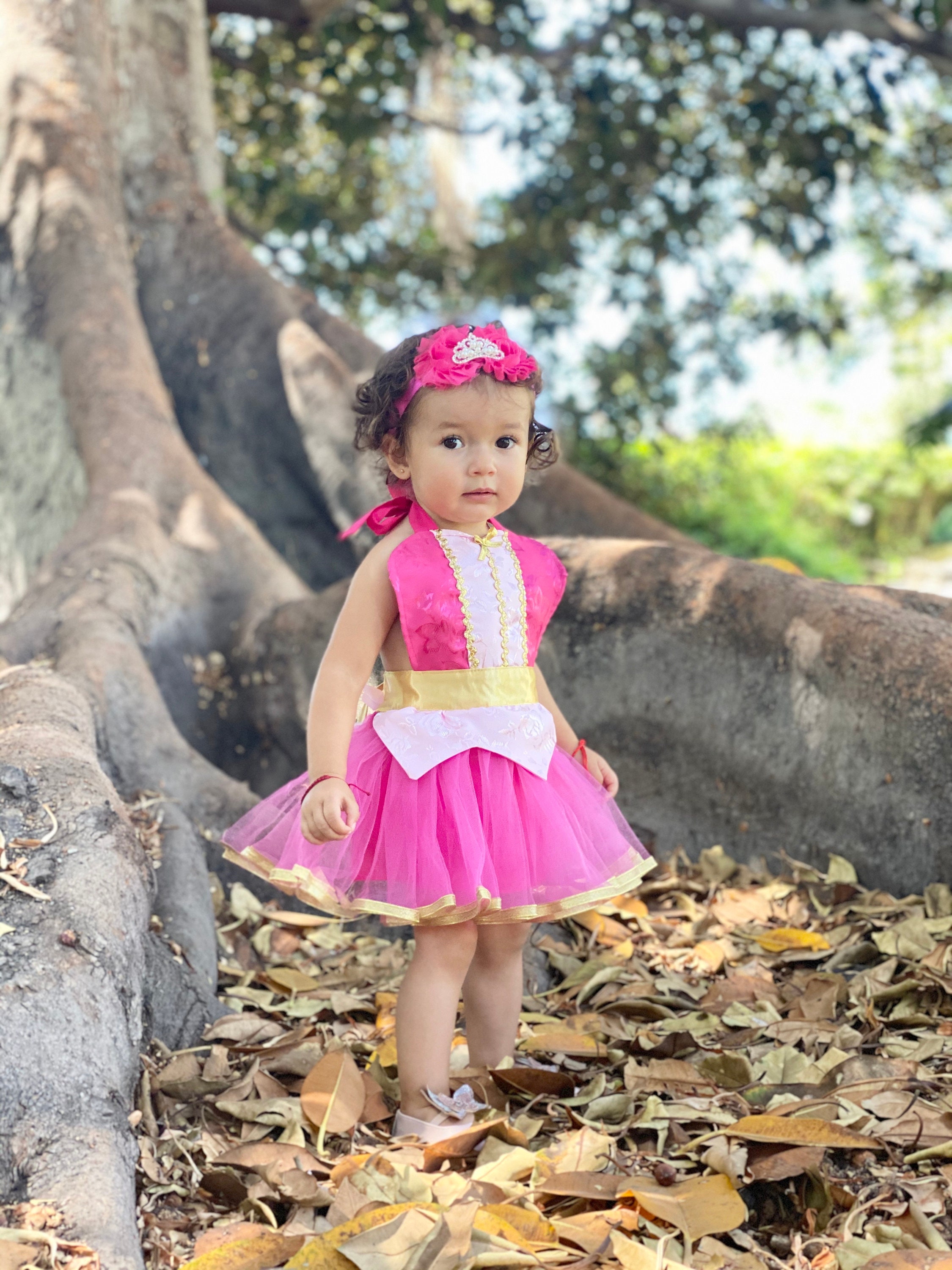 Sleeping Beauty Costume Baby Princess Costume Newborn Photo Prop