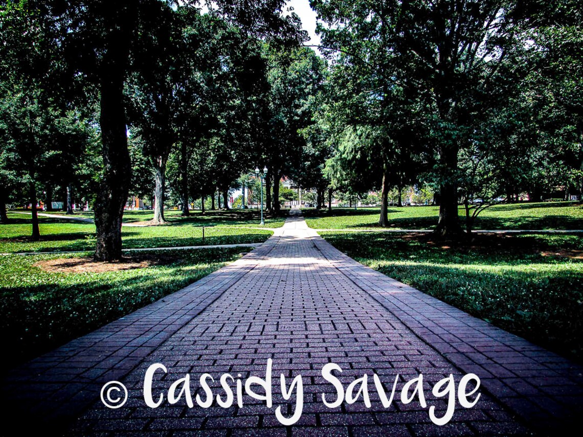 The Grove at Ole Miss Photography, Downloadable Print, High Resolution