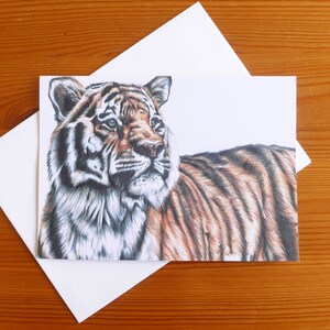 Carte de joyeux anniversaire Tigre – Carte Big Cat, Dessin au stylo Tiger Biro, Papeterie Tigre, Carte de remerciement Tigre, Cartes de diplômés Tigre, Amoureux du Tigre