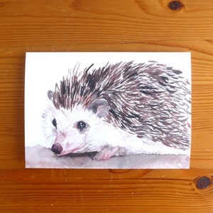 Carte aquarelle hérisson – A6 - Carte d’animaux des bois, Carte d’anniversaire hérisson, Carte de la faune britannique, Art hérisson, Carte de remerciement hérisson