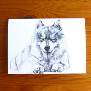 Carte Husky de Sibérie, carte d'anniversaire Husky, carte A6 personnalisée, carte chien de traîneau, carte de remerciement Husky, dessin de chiot Husky, carte de toiletteur de chien