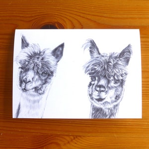 Alpaca kaart – Lama kaart, Lama verjaardagskaart, schattige Alpaca verjaardagskaart, Lama bedankkaart, Alpaca Valentijnsdag gepersonaliseerde kaart