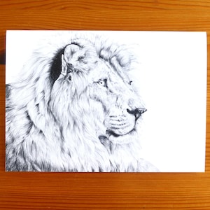 Cartão de desenho de leão – Cartão de safári africano, papelaria de leão, cartão de aniversário de leão, cartão de agradecimento de gato grande, cartão de casa nova para um amante de leão