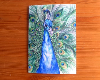 Tarjeta de cumpleaños de pavo real: ilustración colorida con bolígrafo