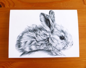 Bunny Rabbit Greeting Card: Pen Drawing Illustration