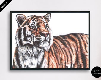 Colorful Tiger Portrait Art Print: Biro Pen Wildlife Drawing