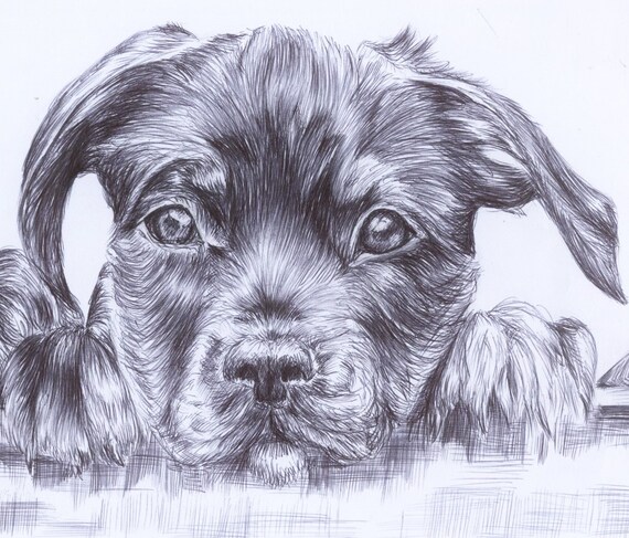 Puppy Greeting Card Rottweiler Puppy Dog Illustration Etsy