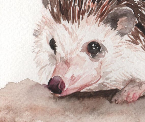 Herbst Aquarell Natur Wildtier Druck Bild S/ü/ßer Igel mit Apfel Kunstdruck Din A4 ungerahmt