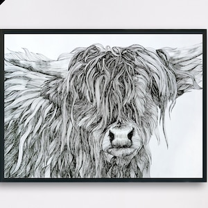 Highland Cow Pen Drawing Signed Print - Large Cow Print, Highland Cow Wall Art, Scottish Cow Print, Cattle Wall Art, Highland Cow Gifts