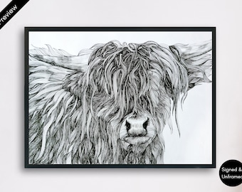 Highland Cow Print: Signed Pen Drawing, Scottish Cattle Wall Art