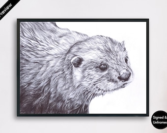 Otter Drawing Print: Signed Biro Pen Portrait, Nursery Wall Art