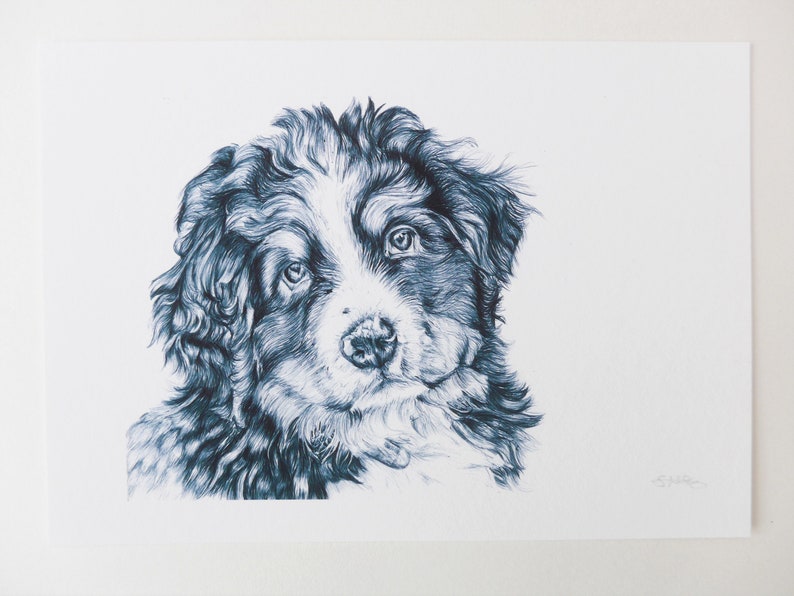 Bernese Mountain Dog Puppy Drawing Biro Pet Portrait Bernese Etsy