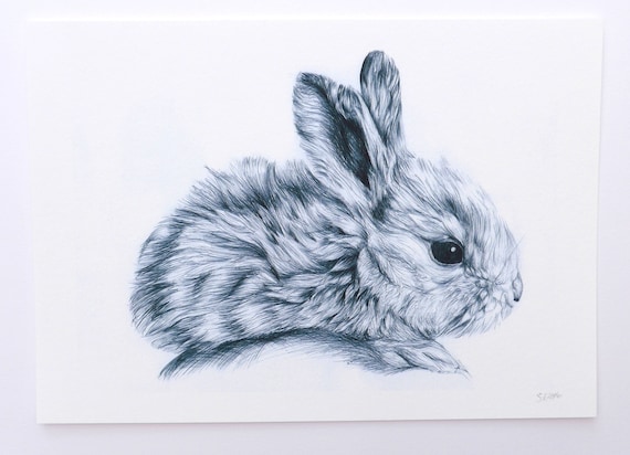 Cute Bunny Rabbit Illutration Baby Animal Print Bunny Art Etsy Cute Bunny Rabbit Illutration Baby Animal Print Bunny Art Etsy