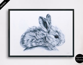 Bunny Rabbit Biro Pen Drawing Print – Signed Pet Portrait