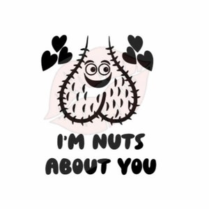 I&#39;m Nuts About You svg, Nuts svg, Balls svg, Ball Sack svg, Valentines svg, Inappropriate svgm Funny svg, Adult svg, Mature svg