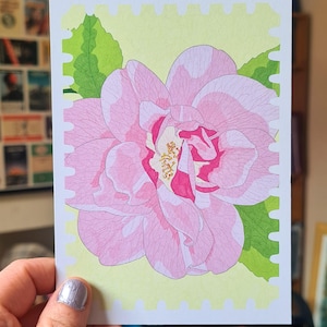 Carte postale de fleurs - carte postale de roses roses - impression de fleurs A6 - oeuvre d'art murale de chambre à coucher
