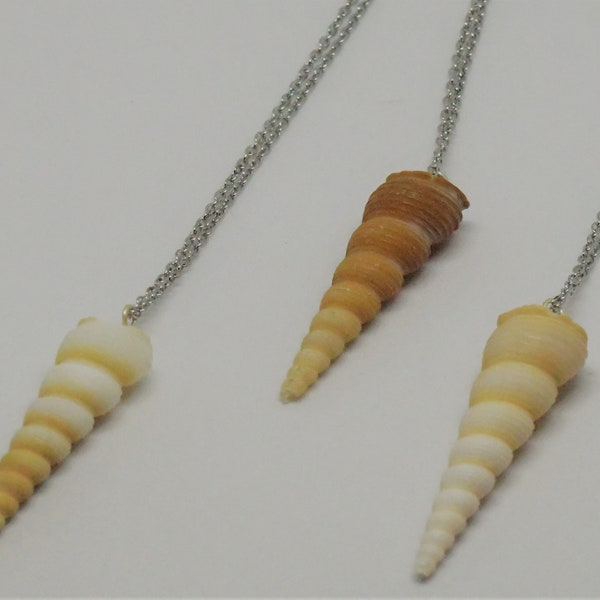 Spiral Cone Shell Necklace, Seashell Necklace, Beach Jewelry, Tropical Jewelry, Vacation, Gifts for Her, Wedding Gifts, Bethany'sCornerStore