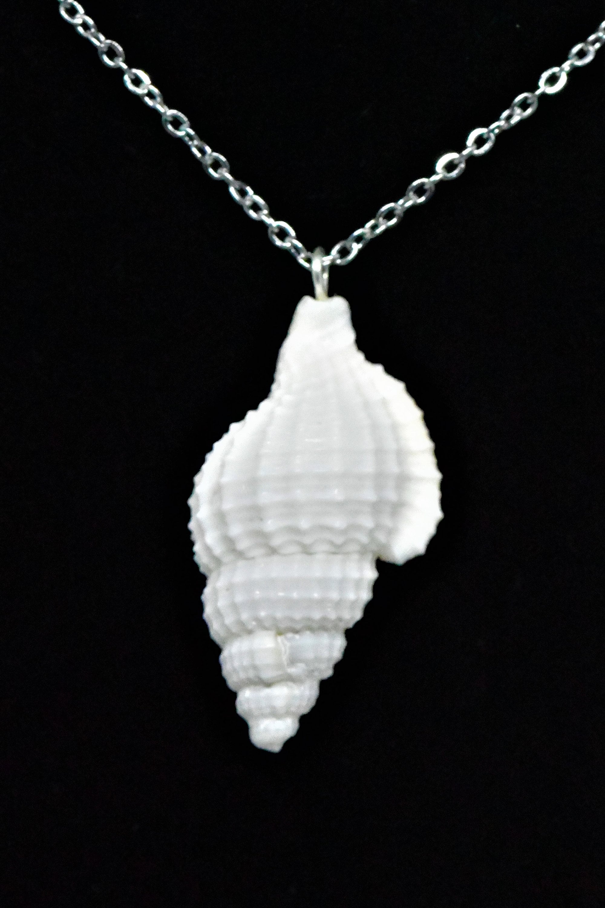 Spiral Shell Necklace Seashell Necklace Beach Jewelry Etsy.de