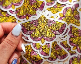 Rosie Maple Moth sticker