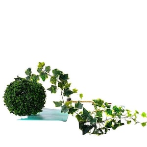 Ewiges Leben KOKEDAMA Mooskugel Home Deko