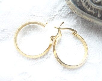 steel earrings, modern hoops, ear hoops, gift, novelty, woman