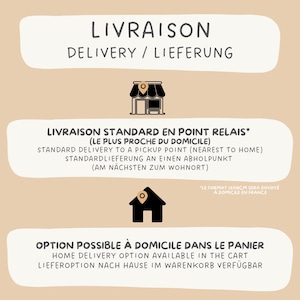 May include: A graphic showing delivery options for a store. The options are standard delivery to a pickup point, or home delivery. The text is in French, English, and German.