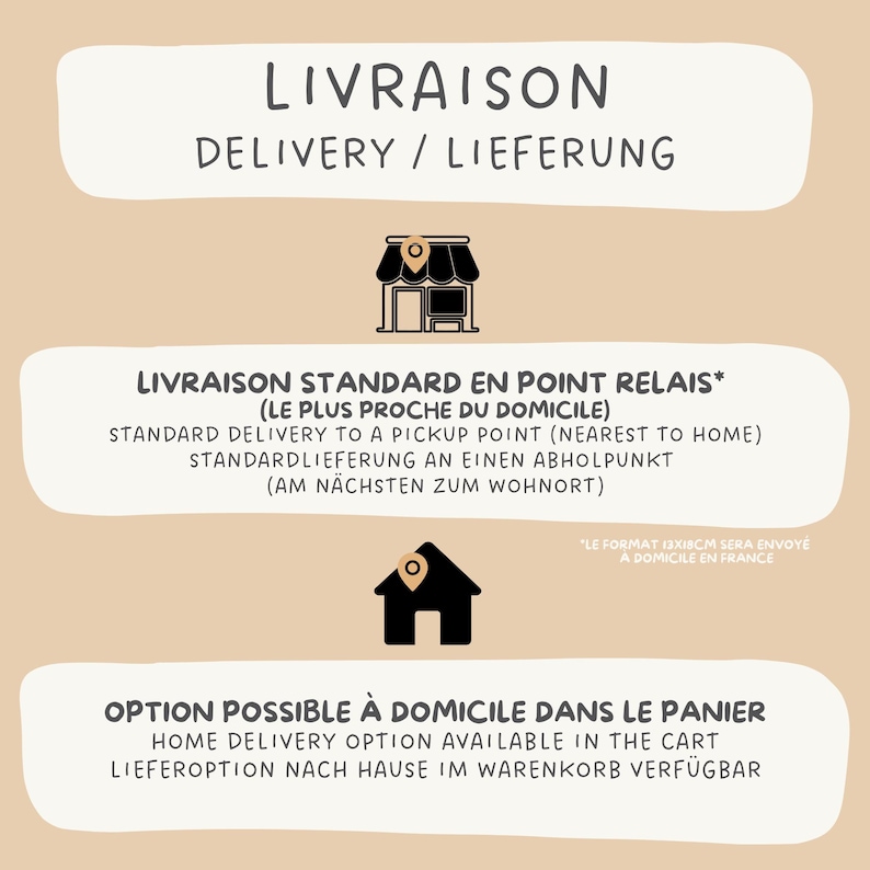 May include: A graphic showing delivery options for a store. The options are standard delivery to a pickup point, or home delivery. The text is in French, English, and German.