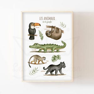 Poster di animali della giungla 30x40 cm decorazione murale della cameretta dei bambini verde illustrazione ad acquerello poster educativo per bambini foresta tropicale