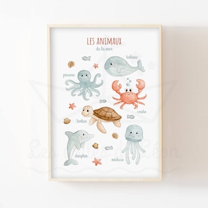 Póster de animales marinos A4 (21x29,7 cm) ilustración en acuarela océano decoración infantil habitación del bebé póster educativo de naturaleza animales marinos