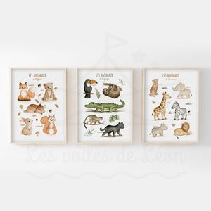 Los mit 3 Tierplakaten für Kinder im Format A4 (21 x 29,7 cm) oder 13 x 18 cm, pädagogische Aquarellillustrationen, Dekoration für Babyzimmer, Geschenk zur Geburt