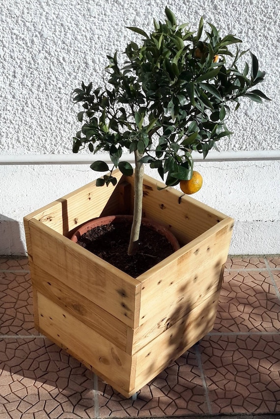 bac 224 plantes sur roulettes en bois de r 233 cup etsy bac 224 plantes sur roulettes en bois de r 233 cup etsy