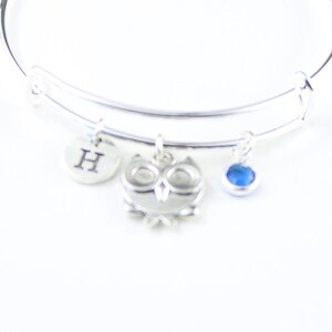 May include: A silver charm bracelet with a blue charm, an owl charm, and a charm with the letter "H" engraved on it.