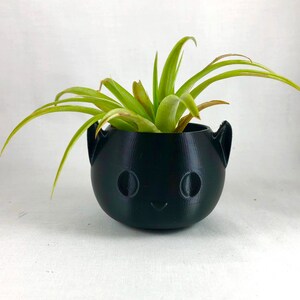 Può includere: Un vaso in ceramica nero con un simpatico viso da cartone animato, con una piccola pianta d'aria che cresce all'interno.