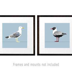 2er Set Möwe Kunstdrucke, Seevogel Dekor, Geschenke am Meer