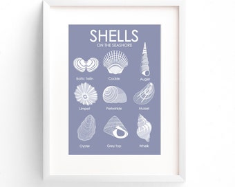 Sea Shells poster, Shell wall art, Coastal bathroom print