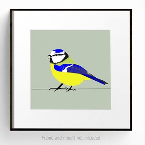Illustrazione di un grazioso uccello cinciarella: arte murale ispirata alla natura per gli amanti del giardino e della fauna selvatica