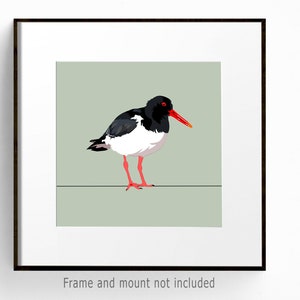 Scholekster print nautische kustvogel tekening kustdecor kunst aan de muur