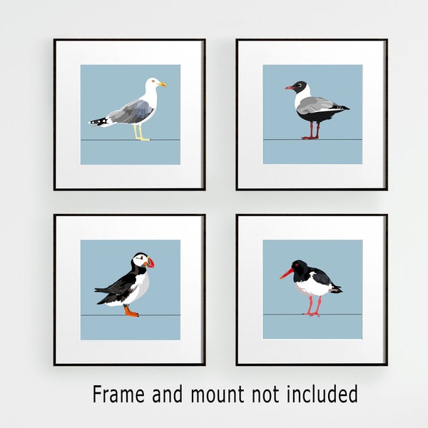 Coastal bird prints, Sea bird decor, Set of 4 prints