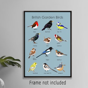 Stampa artistica illustrata di uccelli da giardino britannici: decorazione da parete con specie di animali selvatici per amanti e osservatori di uccelli