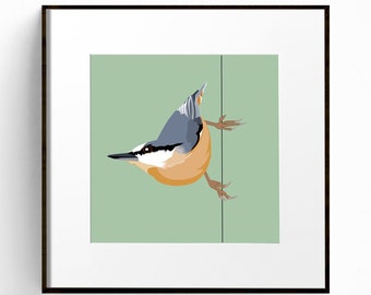 Nuthatch bird print, Small bird art print, Cute bird wall art