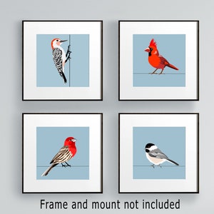 Vibrant American Backyard Birds Wall Art: Cardinal, Chickadee, Finch & Woodpecker Prints for Nature Lovers