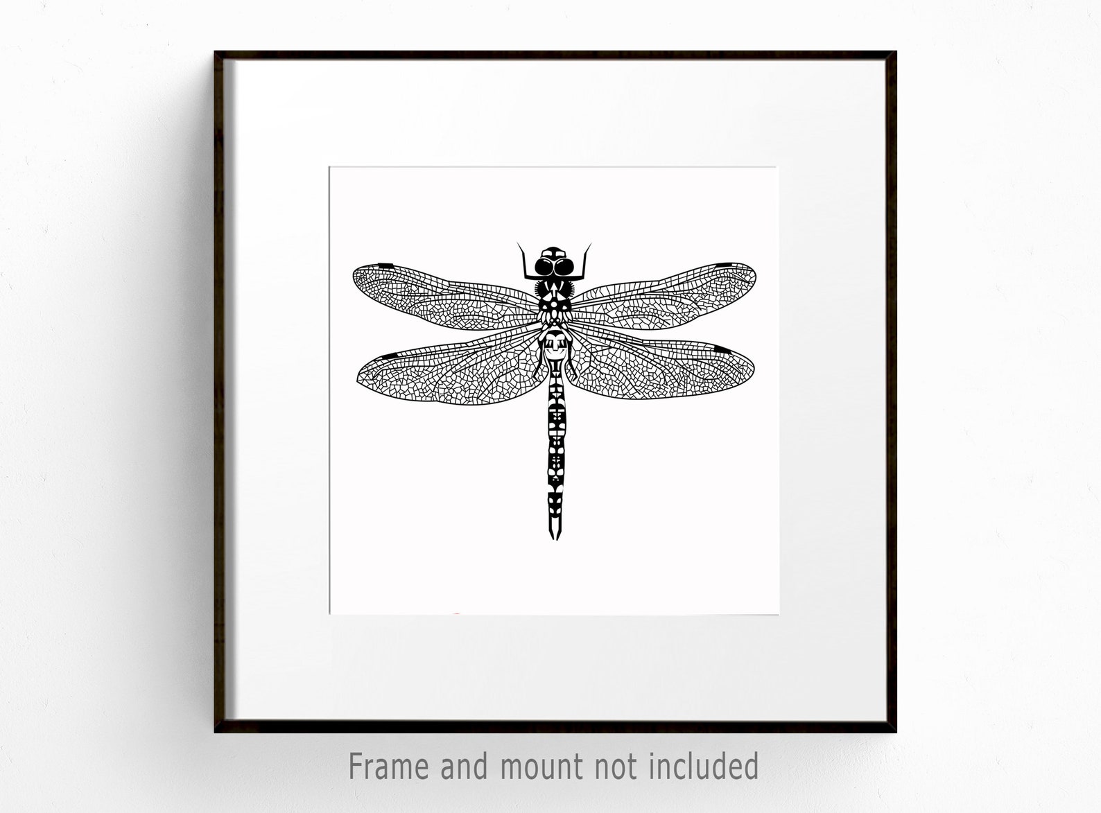 Dragonfly illustration print insect wall art Etsy