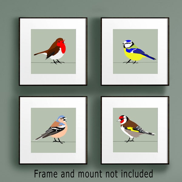 British garden birds prints, Robin print, Blue Tit art, Goldfinch print, Chaffinch