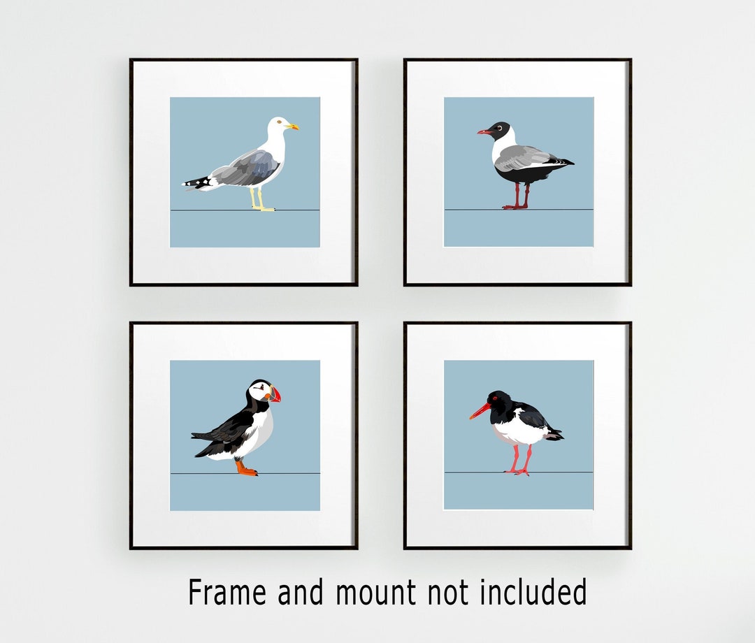 Coastal Bird Prints Set - Nautical Wall Art, Seagull Puffin ...
